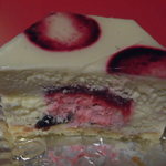 エムコイデ - 断面