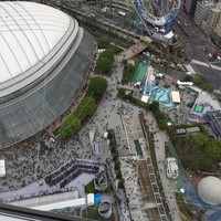 アーティスト カフェ - 