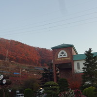 レストラン鳥居平 - 