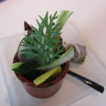 ベージュ アラン・デュカス 東京 - 鎌倉野菜とグリーンピースムース