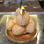 アヴランシュ・ゲネー - タルトオーフレーズ