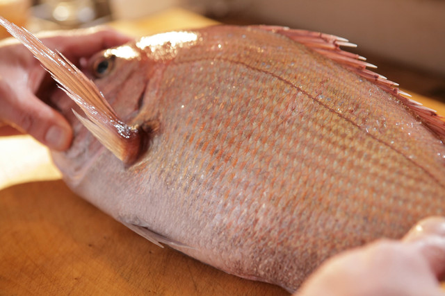 いち井（いちい） - 郡山（日本料理）の写真