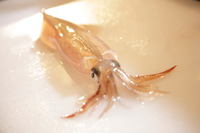 いち井（いちい） - 郡山（日本料理）の写真