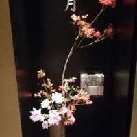 和食鉄板 銀座 朔月 - 