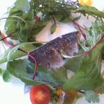 ル・ジュー・ドゥ・ラシエット  - 