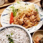 築地食堂 源ちゃん - 豚しょうが焼きと釜揚げしらす丼定食‼