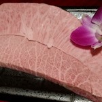 銀山亭 - 2018/3/26 本日No.1ミスジ