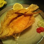 大衆割烹さかえ - 
