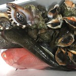 旬菜・鮮魚 居酒屋 徳ちゃん - コチ、金目鯛、ホラ貝、ニシ貝ないから