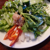 やさいの王様 銀座店 - サラダビュッフェ　生野菜