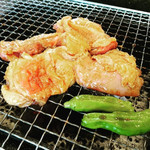 炭焼地鶏 山蔵 - 