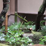 高台寺 和久傳 - 内庭を望みます