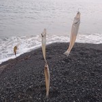 Puremia Rizoto Yuuga Iseshima - プライベートビーチの隣りの浜でキスがよく釣れました