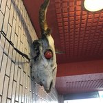 一条流がんこ総本家分家四谷荒木町 - 外観