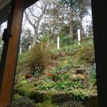 ツリービー - カフェの窓からの景色