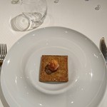 ジョンティ アッシュ - 