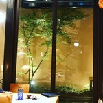 天麩羅　吉祥 - お庭