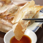 Grilled Gyoza / Dumpling gyoza