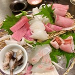 海鮮料理と酒 いくひさ - 刺身五種盛り合わせ(一種サービス)