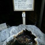 Tsushima Yasuragi No Sato Baiten - エントランスの所に、手ゆすぎもできる温泉があります。