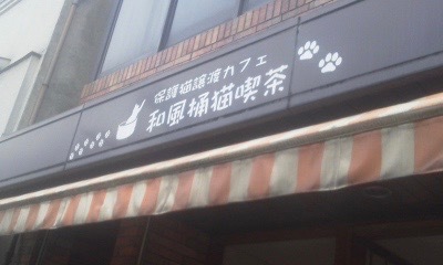 和風桶猫喫茶 ワフウオケネコキッサ 八木西口 その他 食べログ 和風桶猫喫茶 ワフウオケネコキッサ 八木西口 その他 食べログ