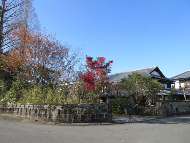 たから湯 西人吉 旅館 食べログ たから湯 西人吉 旅館 食べログ