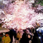 焼肉食堂 リキ太郎 - 桜ロード