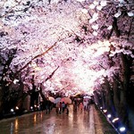 焼肉食堂 リキ太郎 - 桜ロード