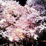 焼肉食堂 リキ太郎 - 桜ロード