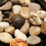 エスピス - ひじきのシュー生地の中にウニ