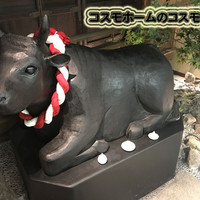但馬屋 心斎橋 - 