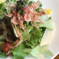 COLK  - 桜海老の春色サラダ自家製ドレッシング