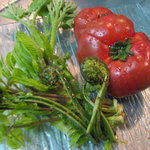 Inase - 旬の野菜や山菜料理