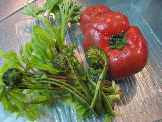 Inase - 旬の野菜や山菜料理