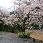 くつきそば 永昌庵 - 