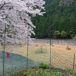 くつきそば 永昌庵 - 