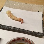 天ぷら 小泉 - 海老