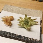 天ぷら 小泉 - 海老頭　フキノトウ