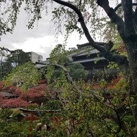 東京 芝 とうふ屋うかい - 