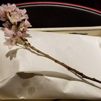 金澤 平山 - 