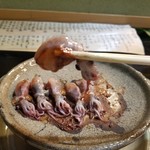 量平寿司 - ほたるいか酒盗焼