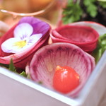 ピアッティ カステリーナ - カステリーナからの贈り物