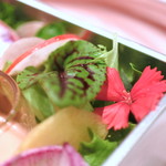 ピアッティ カステリーナ - カステリーナからの贈り物