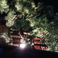 かみくら - 