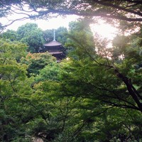 ザ・ビストロ - 桜や紅葉の時季以外は夜のライトアップはされないので、明るい間に散策を。