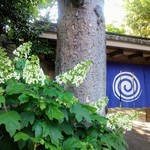 母屋　虎幻庭 - 道に面したエントランス