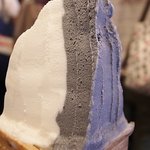 ポーラーベア - 陰と陽の融着（2011年6月18日）