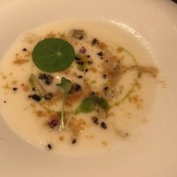 セルサルサーレ - 
