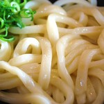 手打ちセルフうどん 海侍 - 特選しょうゆうどん