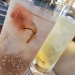 カラフー - 【2018.04】桜ソーダと自家製柑橘系のソーダ(レモン)